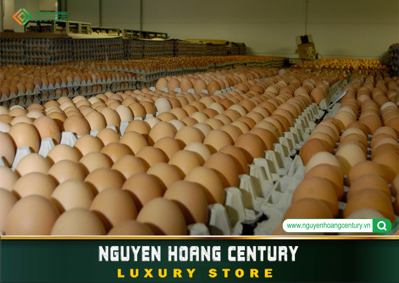 kho lạnh Nguyễn Hoàng