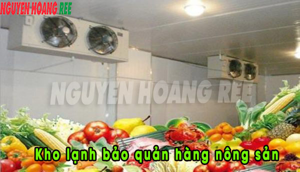 Kho lạnh bảo quản