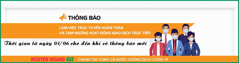 Nguyễn Hoàng làm việc online